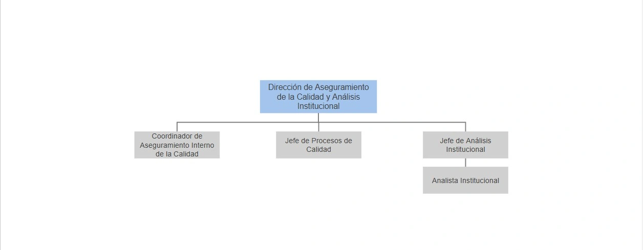 Organigrama de la Dirección de Aseguramiento de la Calidad y Análisis Institucional, con la coordinación de aseguramiento interno, la jefatura de procesos de calidad y la jefatura de análisis institucional