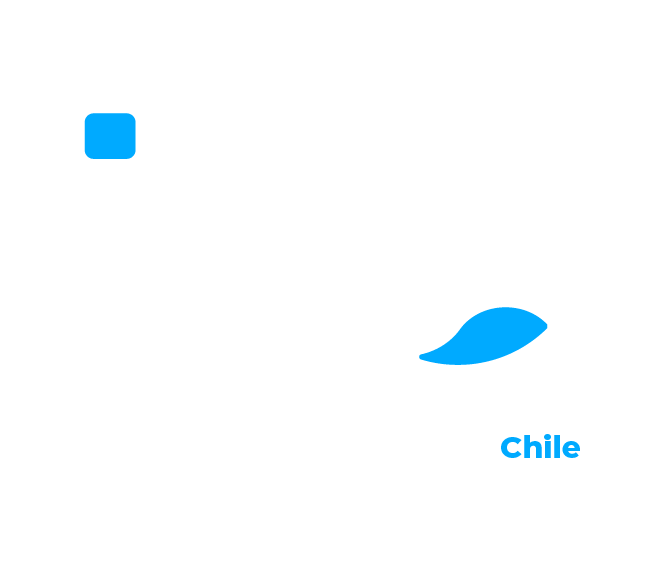 Instituto Profesional IPG